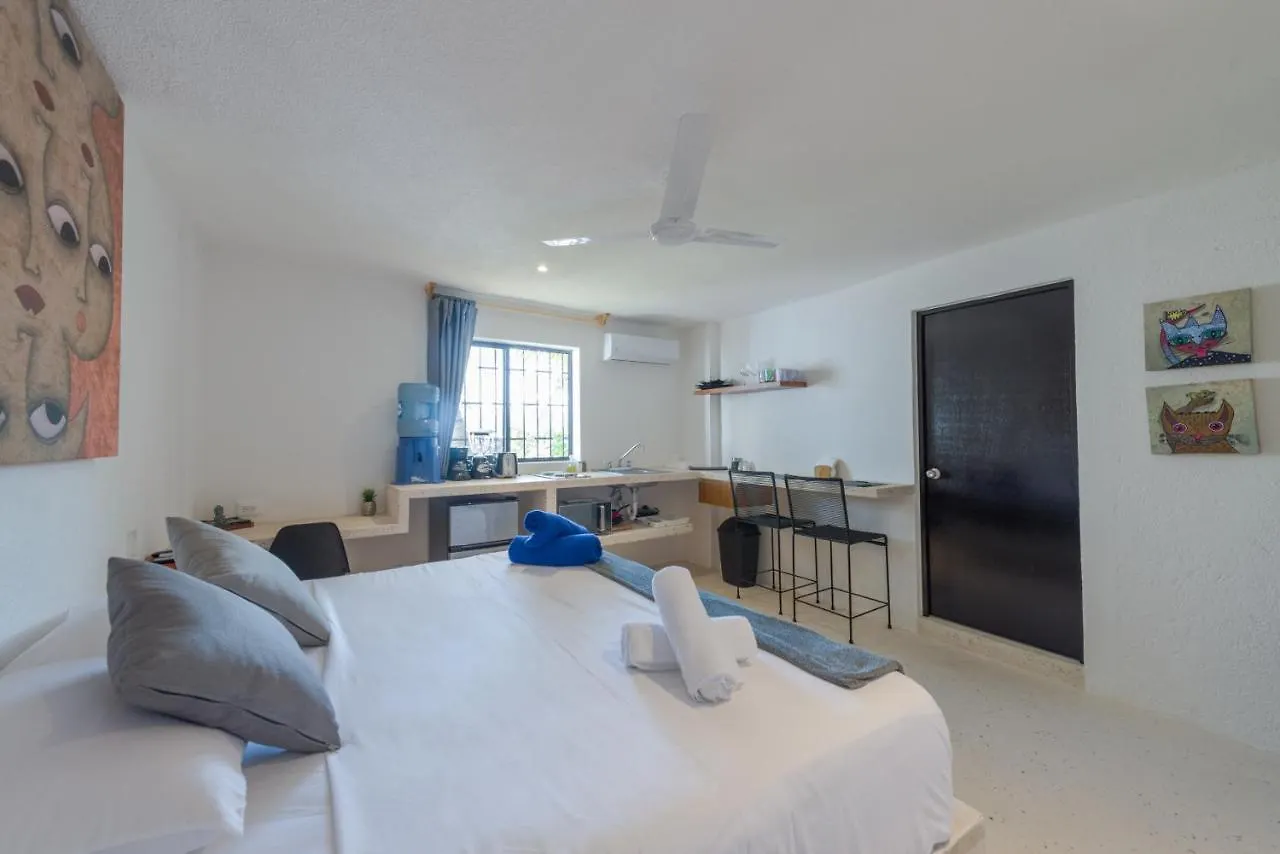 Art Studios Cancun Mexico